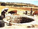 Getting water from a simple well, by lowering a pot on a string.